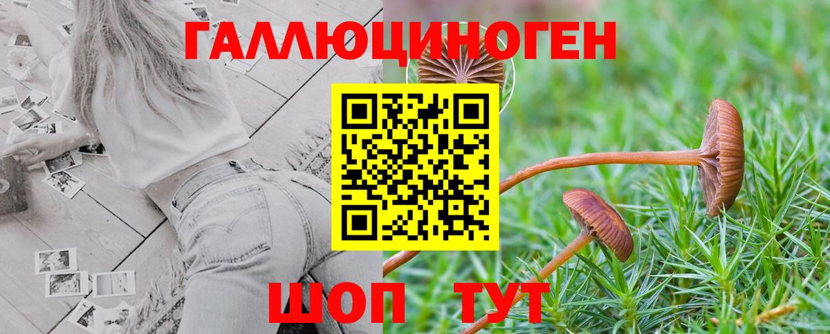 Лянтор  Псилоцибиновые грибы MAGIC MUSHROOMS  Вход с VPN 